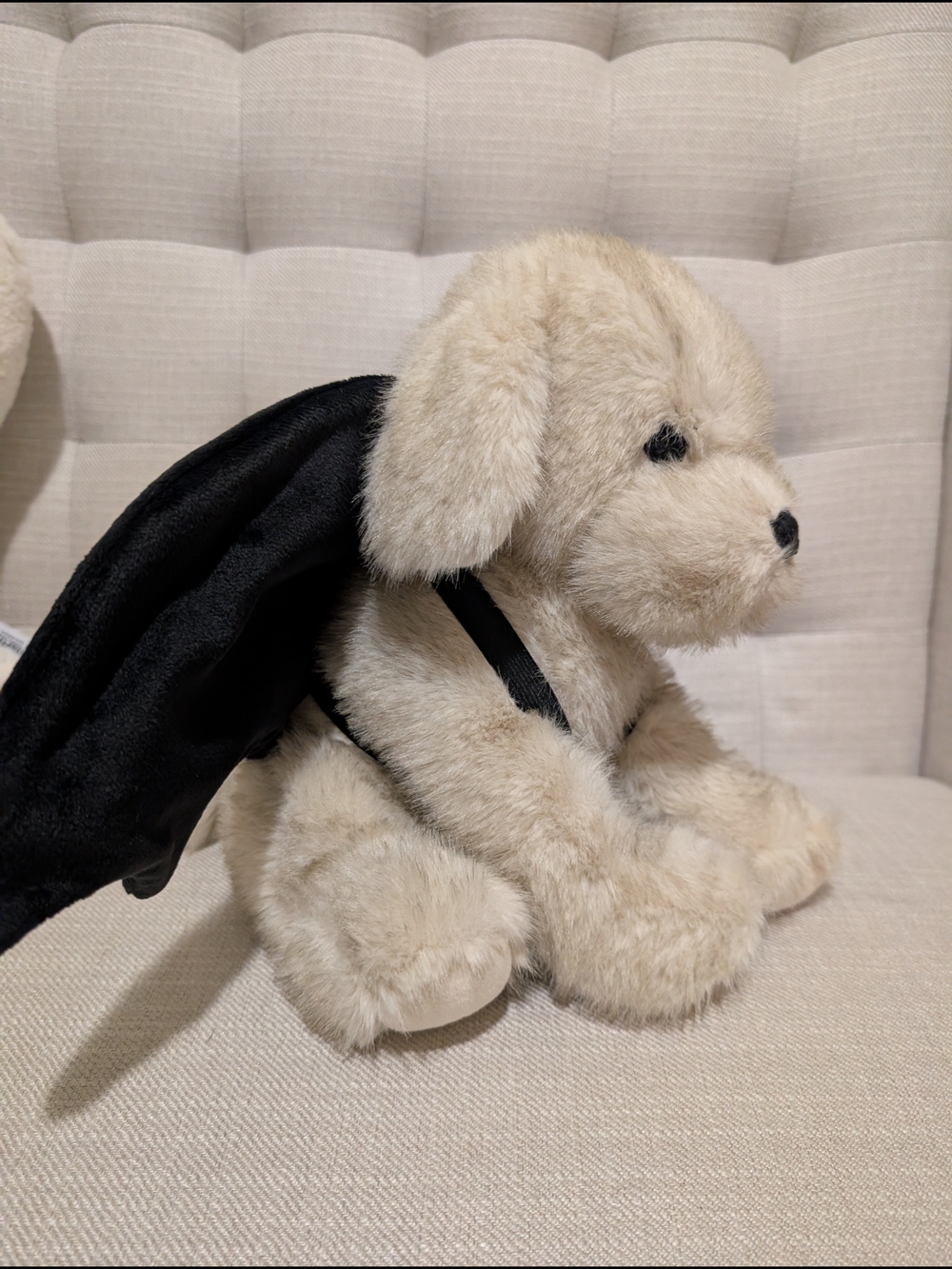 Pottery Barn Beau The Bat Puppy - Picture 4 of 7